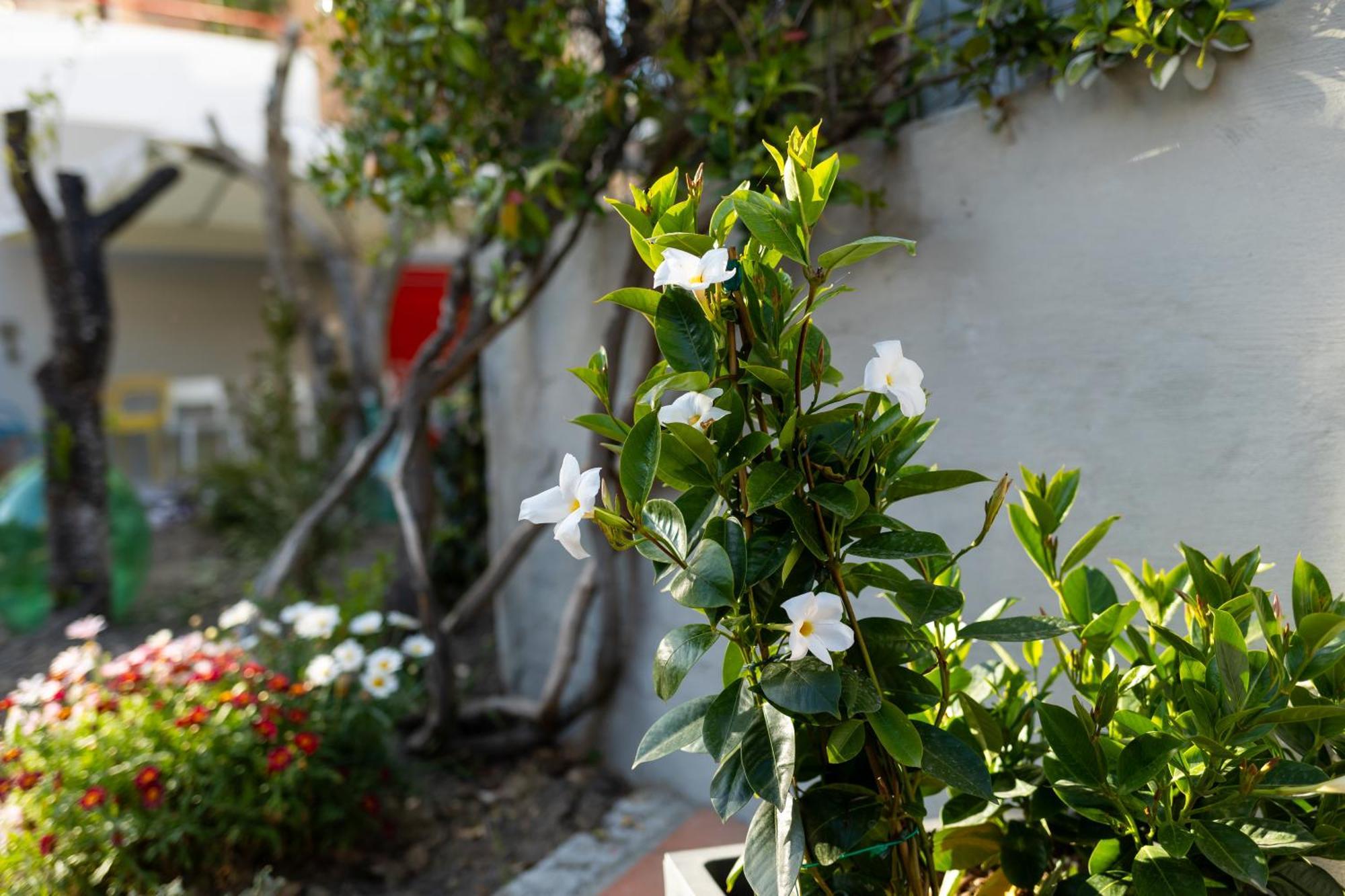 B&B Casa Gagliardi Matera Dış mekan fotoğraf